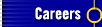 Careers