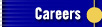 Careers