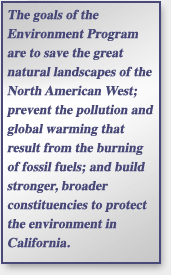 environment quote